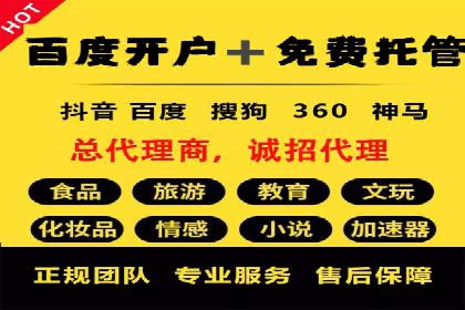 从小白到高手：百度竞价赚钱全记录